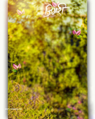 Jigari HD CB Editing Background