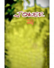 Joker cb editing background