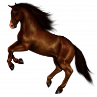 Jumping horse hd png