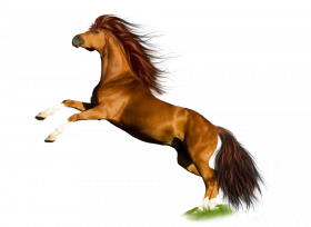 Jumping horse transparent image