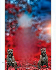 Killer cb background by totalpng