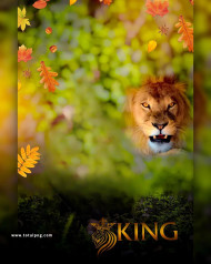 King 1500  CB Background HD 2023 For Photo Editing