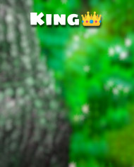 King Cb Editing Background