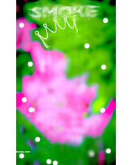 King crown CB Background HD Full size