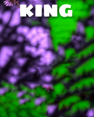 King Hd Cb Editing Background