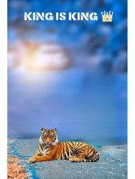 King is king hd cb editing background