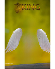 King New CB Background