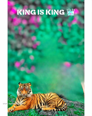 King new cb background