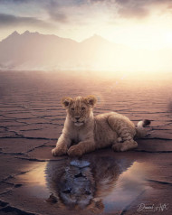 Kite photoshop editing background