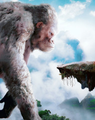 Kong free cb background totalpnag