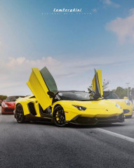 Lamgorhini Trending Photo Editing