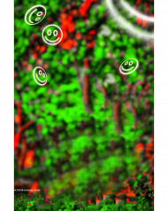 Latest Cb Background New Picsart Download