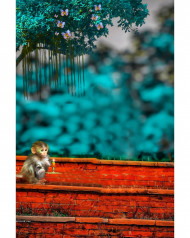 Latest Cb Blur Background For Picsart Snapseed edit