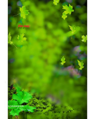 Leaves cb background free download