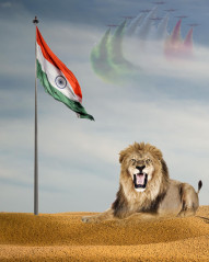 Lion 15 august editing background