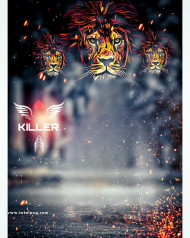 Lion cb background images