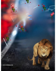 Lion cb editing background