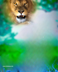 Lion cb editing backgrounds free