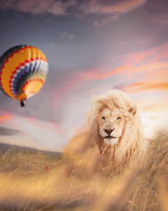 Lion editing background