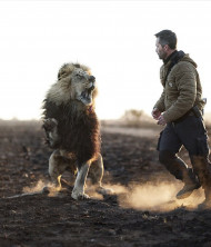 Lion editing background