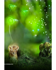 Lion tiger cb background hd