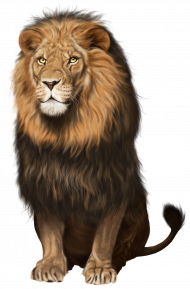 Lion Transparent PNG Clip Art Image