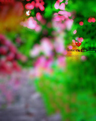 Lobe 101%hd cb editing background,Snapseed hd cb editing background