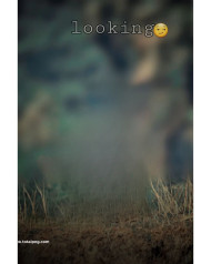 Looking hd cb editing backgrounds