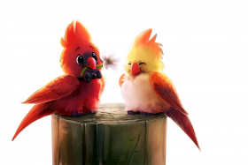 Love birds clipart