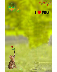 Love Cb Editing Background