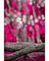 Love cb editing background snapseed