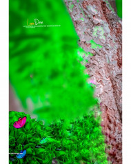 Love dose hd cb editing background