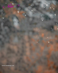 Love hd cb editing background