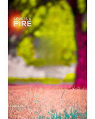 Love is fire cb background free download