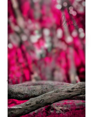 Love pink hd cb editing backgrounds