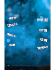 Lover valentine hd cb editing background