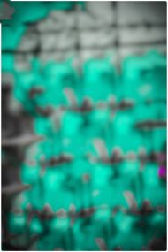 lrm export 20190603 113830 01 013989253931831829819 1 1024x1536