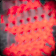 lrm export 20190610 100236 014117662078089035576 1 1024x1024