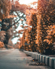 Lucky desigen editing background (10)