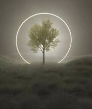 Magic editing background download