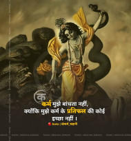 Mahabharat Quote HIndi Download (15)