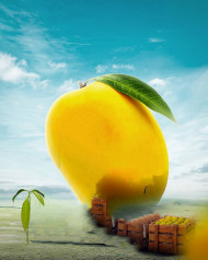 Mango editing background