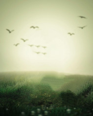 Manipulation Background Pictures For Editing Free Download