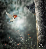 Manipulation cb editing background (1)