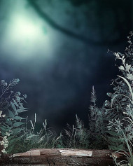 Manipulation cb editing background (5)