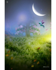 Manipulation hd editing background