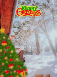 Merry Christmas Photo Editing Background Picsart hd