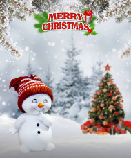 Merry christmas picsart hd editing backgrounds