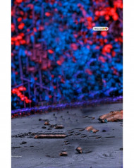 Miss You Alone Broken Cb Editing Background Full Hd Download Free