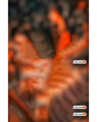 Miss you  cb background